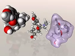 Codeine molecule 3D model
