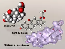 Cortisone molecule  3D model