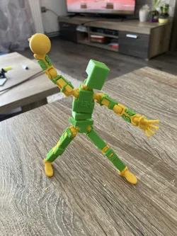 Hand and ball for Lucky 13 Handball player
