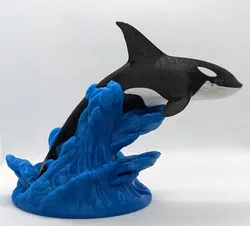 Orca (Killer Whale) jumping out of the water.