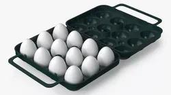 Portable Holder with Eggs Open 3D model