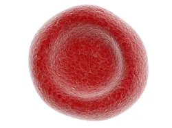 Red Blood Cell 3D model