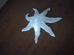 Star fish