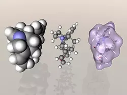 Strychnine molecule 3D model