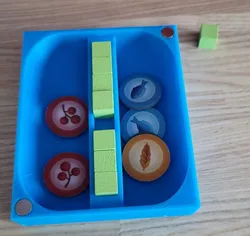 Wingspan Magnetic Player and Goal Boxes
