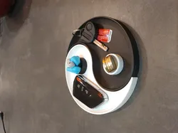 Yin & Yang Catch All Tray