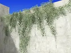 Ivy 03 3D model
