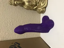My actual penis dick wiener and foreskin. (minus one inch as to not offend)