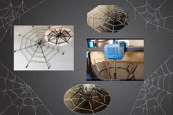 Spider in a Web of "Strings" (Project)