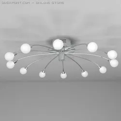 ceiling light 6