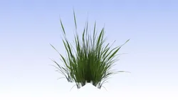 Grass lowpoly free Free low-poly 3D model