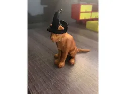 Halloween Cat