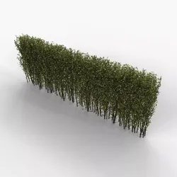Hedge 3D model
