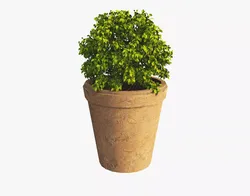 Plant Pot Free 3D model