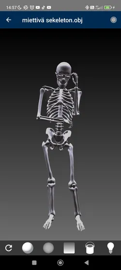 skeleton pandering