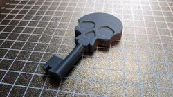 Skull Skeleton Key