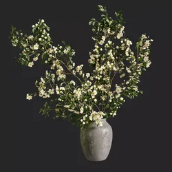 White Blossom Free 3D model