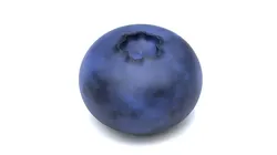 Blueberry Free Free low-poly 3D model