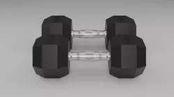 Dumbbell Weights Free 3D model