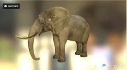 Elephant in environment Free low-poly 3D model