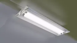 Fluorescent Light with Cord and Plug Free low-poly 3D model
