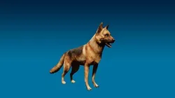 German Shepherd 3D Model Free low-poly 3D model