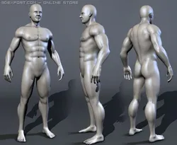 male bodybuilder