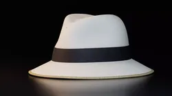 Realistic Fedora Hat Free 3D model