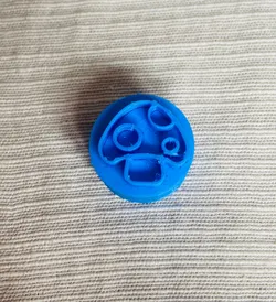 SELLO HONGO / FUNGUS SEAL
