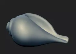 Shankha Conch Shell Hindu Ritual 3D Model Free low-poly 3D model