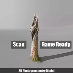 Tree dead 03 Scan  Free low-poly 3D model