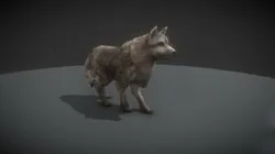 Fantasy Dog
