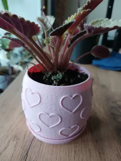 Heart Pattern Planter