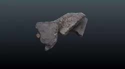 Scan Debris Free low-poly 3D model