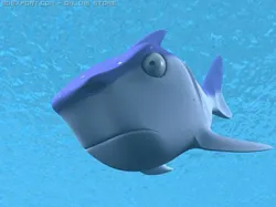 shark