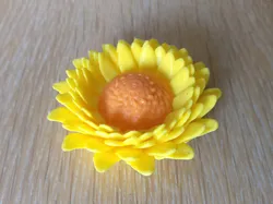 Tournesol (Sunflower)