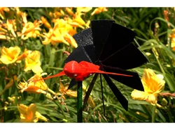 Wind Powered Bird