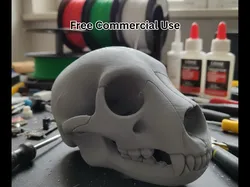 Bear Skull