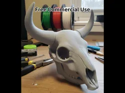 Bull Skull