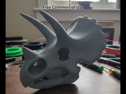 Cartoon Triceratops Skull