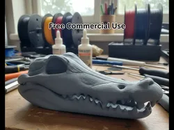 Crocodile Skull