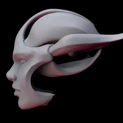 Face Shell