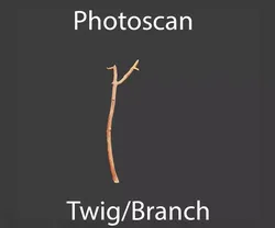 Free PBR Stick twig dead broken Scan Free low-poly 3D model