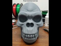 Gorilla Skull