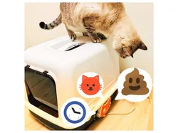 IoT Cat Litter Box