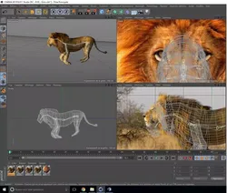 Lion Savane Free 3D model