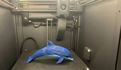 Low Poly Dolphin