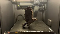 Low Poly Eagle