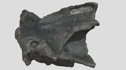 NCSM-29060