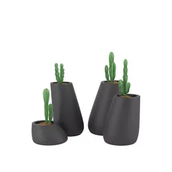 Plant 11 Free 3D model